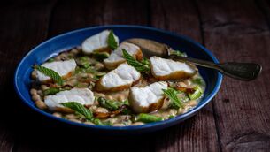 <p> Goldie: Food Marking: XX Jillian Bolger: 04/06/26: Monkfish with beans, recipe by Aishling Moore: Picture Chani Anderson</p> <p> Goldie: Food Marking: XX Jillian Bolger: 04/06/26: Monkfish with beans, recipe by Aishling Moore: Picture Chani Anderson</p>