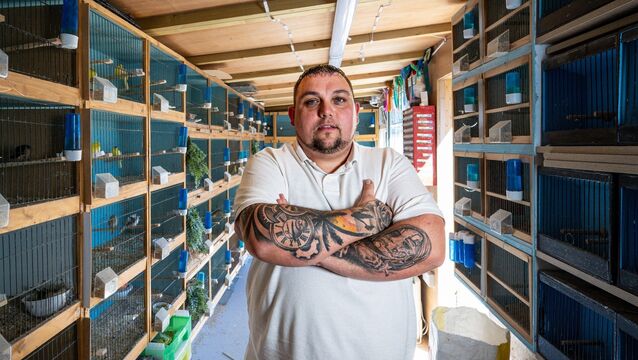 <p>Larger than life and covered in tattoos, Paul Weems cuts an unlikely figure among the delicate show birds he breeds in the shed he built behind his Mahon home — a peaceful world away with the birds that has become his pride and joy. Picture Chani Anderson</p>