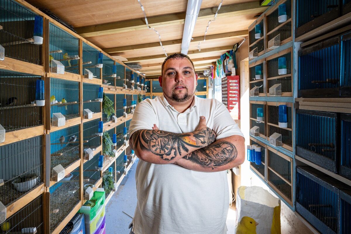 Larger than life and covered in tattoos, Paul Weems cuts an unlikely figure among the delicate show birds he breeds in the shed he built behind his Mahon home — a peaceful world away with the birds that has become his pride and joy. Picture: Chani Anderson Larger than life and covered in tattoos, Paul Weems cuts an unlikely figure among the delicate show birds he breeds in the shed he built behind his Mahon home — a peaceful world away with the birds that has become his pride and joy. Picture: Chani Anderson