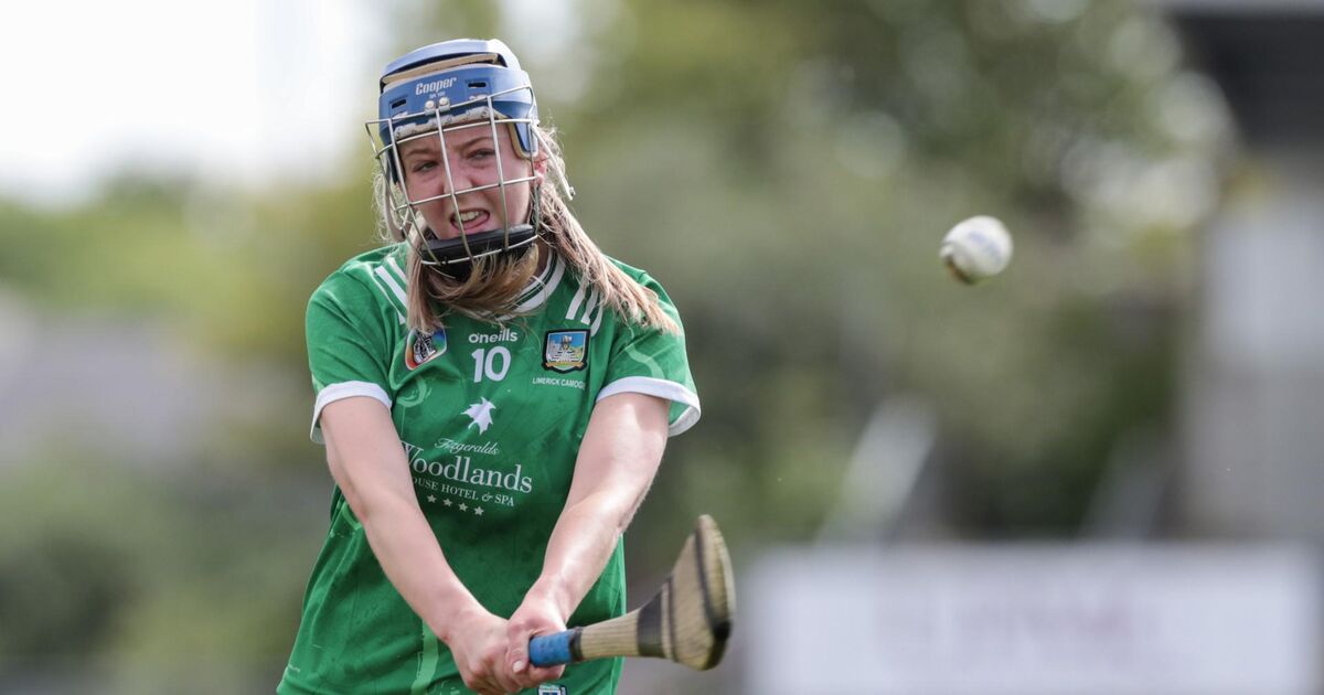 Camogie previews: Limerick looking to bounce back against Offaly