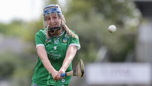 <p>Limerick's Donna Kenny in action against Kilkenny. Pic: ©INPHO/Stephen Heaney</p>