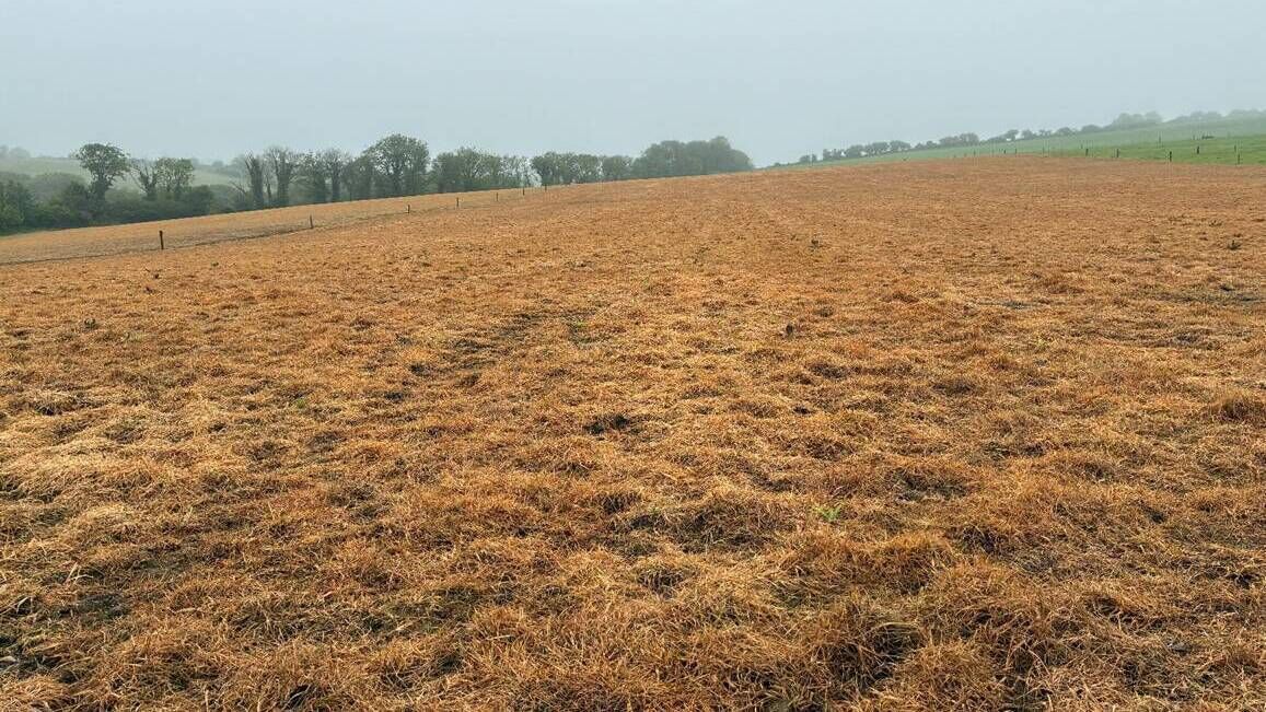 Paddock burnt off for reseeding. Picture: Denis Hickey