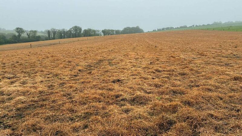 Paddock burnt off for reseeding. Picture: Denis Hickey Paddock burnt off for reseeding. Picture: Denis Hickey