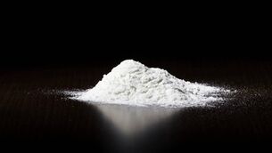 <p>Gardaí allegedly uncovered €49,000 worth of cocaine. File picture</p>