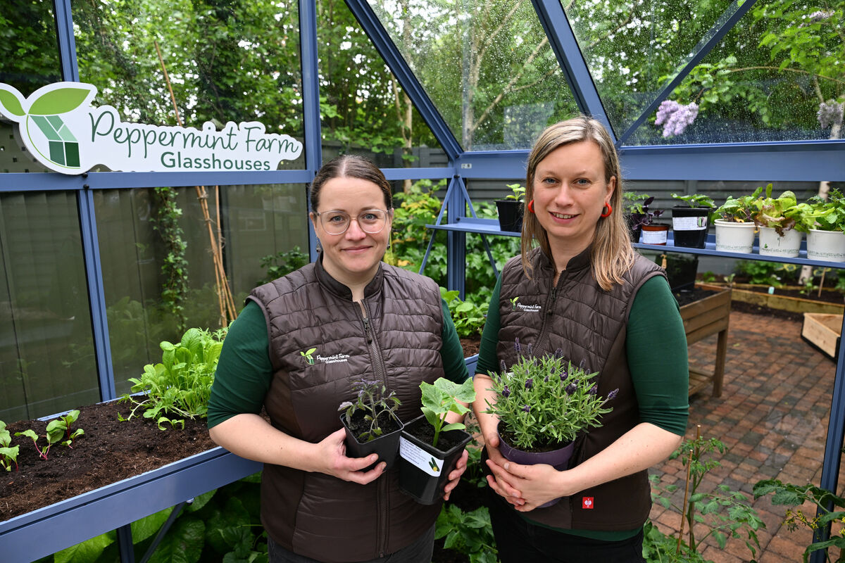 Anne Krey and Lisa Rauch of Peppermint Farm Glasshouses exhibited at the Mallow Home & Garden Festival. Picture: Larry Cummins Anne Krey and Lisa Rauch of Peppermint Farm Glasshouses exhibited at the Mallow Home & Garden Festival. Picture: Larry Cummins