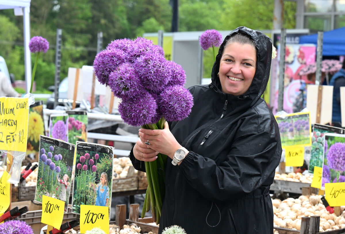 Leia White of Green Art flower producers, from Holland, with a bunch of alliums at Mallow Home & Garden Festival at Cork Racecourse. Picture: Larry Cummins Leia White of Green Art flower producers, from Holland, with a bunch of alliums at Mallow Home & Garden Festival at Cork Racecourse. Picture: Larry Cummins