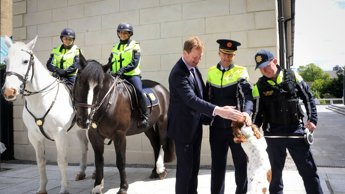 Justice minister Jim O'Callaghan TD, Garda Commissioner Justin Kelly, with Lisa Halligan on Rian and Ciara Larkin on Donnacha from the horse mounted unit, and Garda Alan Cummins with a dog the dog unit in Walter Scott House for the launch of the garda trainee recruitment campaign. The current campaign ends on Wednesday. Picture: Sasko Lazarov/© RollingNews.ie Justice minister Jim O'Callaghan TD, Garda Commissioner Justin Kelly, with Lisa Halligan on Rian and Ciara Larkin on Donnacha from the horse mounted unit, and Garda Alan Cummins with a dog the dog unit in Walter Scott House for the launch of the garda trainee recruitment campaign. The current campaign ends on Wednesday. Picture: Sasko Lazarov/© RollingNews.ie