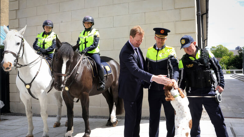 Justice minister Jim O'Callaghan TD, Garda Commissioner Justin Kelly, with Lisa Halligan on Rian and Ciara Larkin on Donnacha from the horse mounted unit, and Garda Alan Cummins with a dog the dog unit in Walter Scott House for the launch of the garda trainee recruitment campaign. The current campaign ends on Wednesday. Picture: Sasko Lazarov/© RollingNews.ie Justice minister Jim O'Callaghan TD, Garda Commissioner Justin Kelly, with Lisa Halligan on Rian and Ciara Larkin on Donnacha from the horse mounted unit, and Garda Alan Cummins with a dog the dog unit in Walter Scott House for the launch of the garda trainee recruitment campaign. The current campaign ends on Wednesday. Picture: Sasko Lazarov/© RollingNews.ie