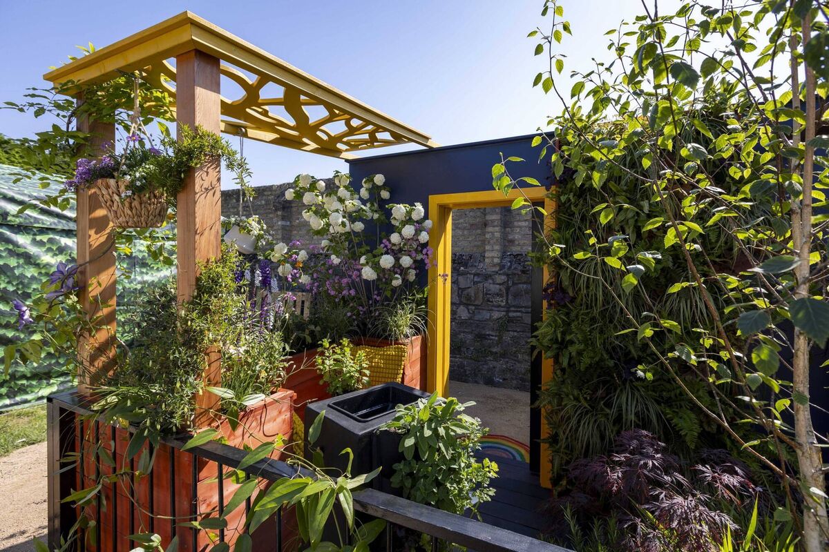 The Master Gardener’s balcony garden, Debbie Brophy. Picture: Johnny Bambury/Fennells 