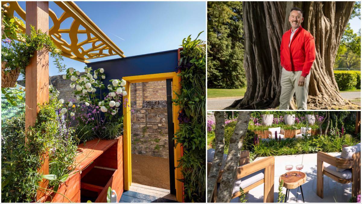 Three top picks: Small-space garden design at Bloom, luxe loungers and sweet treats