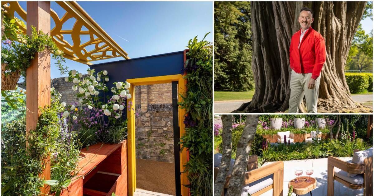 Three top picks: Small-space garden design at Bloom, luxe loungers and sweet treats