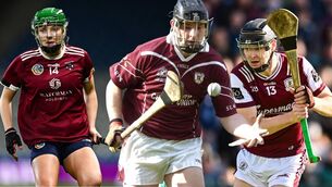 <p>L-R: Sabina, Joe and Jason Rabbitte in action, all wearing a hurling glove. Pics: Sportsfile</p> <p>L-R: Sabina, Joe and Jason Rabbitte in action, all wearing a hurling glove. Pics: Sportsfile</p>