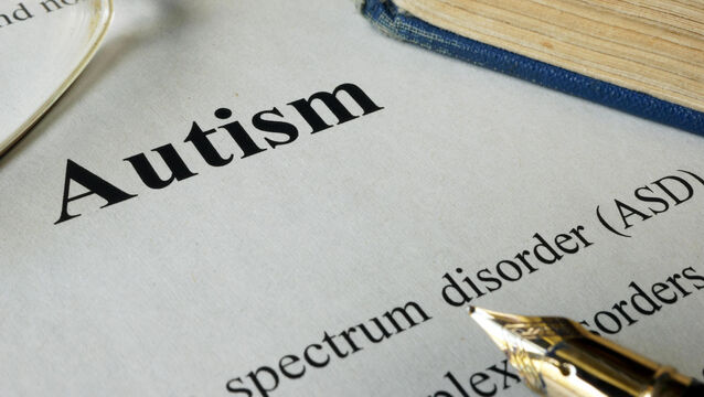 <p>The warning from the Psychological Society of Ireland (PSI) came as one family has been told of a seven-year wait for services after they finally managed to get an assessment of need done under the current system.</p>