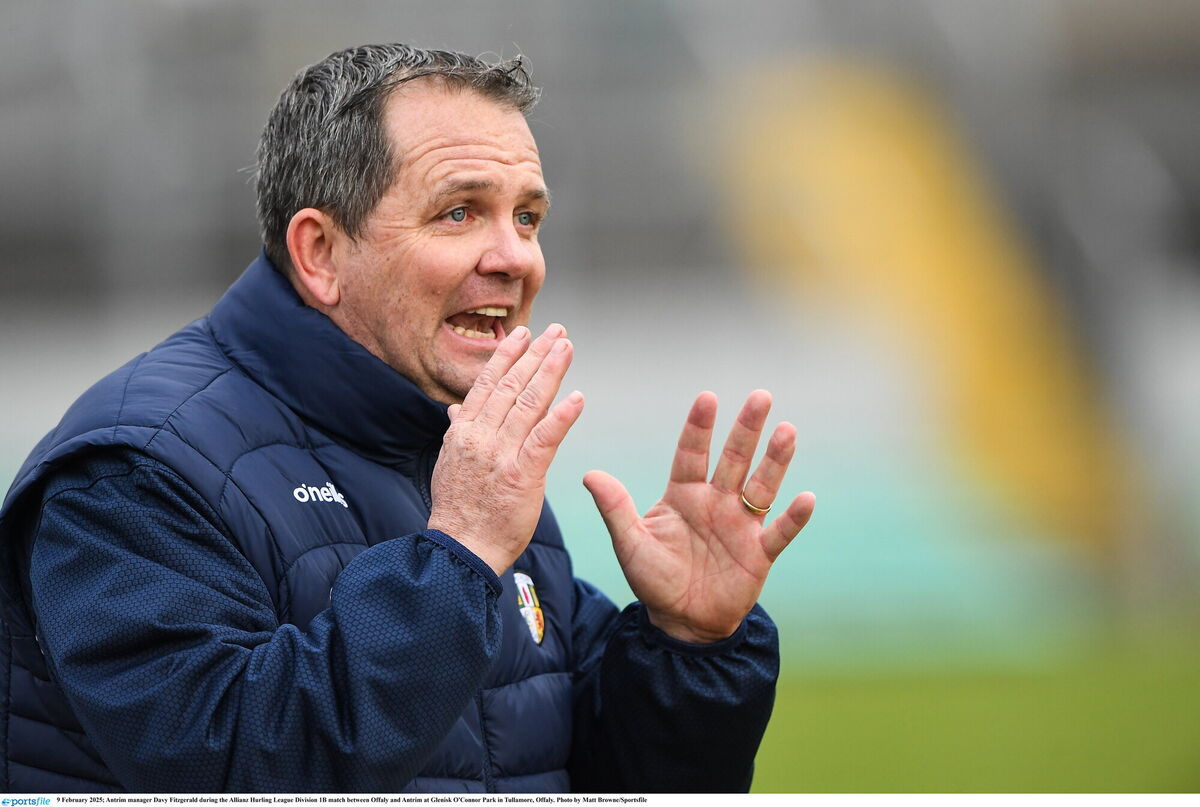 Davy Fitzgerald during the Allianz Hurling League Division 1B match between Offaly and Antrim. Pic: Matt Browne/Sportsfile. Davy Fitzgerald during the Allianz Hurling League Division 1B match between Offaly and Antrim. Pic: Matt Browne/Sportsfile.