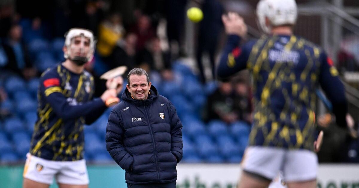 Davy Fitz on His Future as a Manager