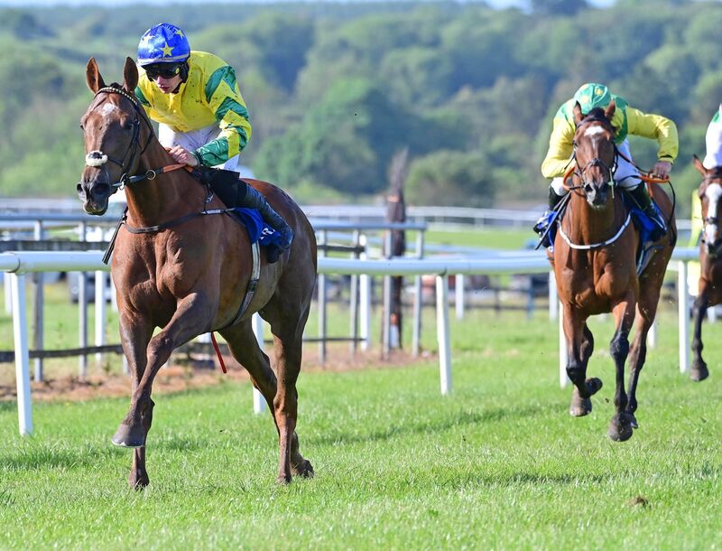 Femme Magnifique and Danny Gilligan win the Walsh King Accountants Handicap Steeplechase. Femme Magnifique and Danny Gilligan win the Walsh King Accountants Handicap Steeplechase.