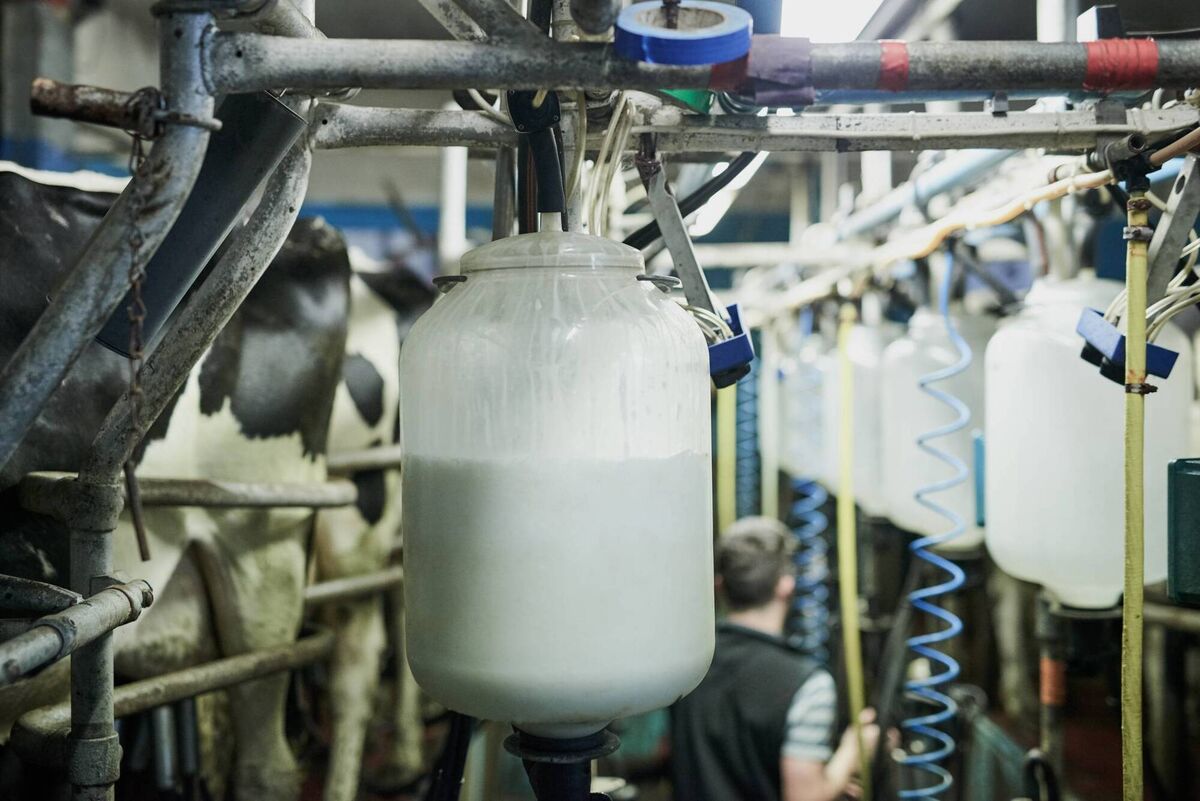 The protein boom has prompted milk processors around the world to invest heavily in advanced whey-processing facilities. Picture: iStock The protein boom has prompted milk processors around the world to invest heavily in advanced whey-processing facilities. Picture: iStock