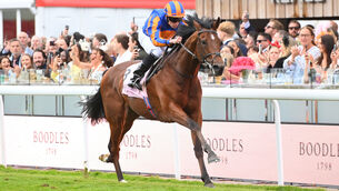 <p>Constitution River defied a tricky draw in stall 15 of 16 to claim Prix du Jockey Club glory.  	Picture: Healy Racing</p>
