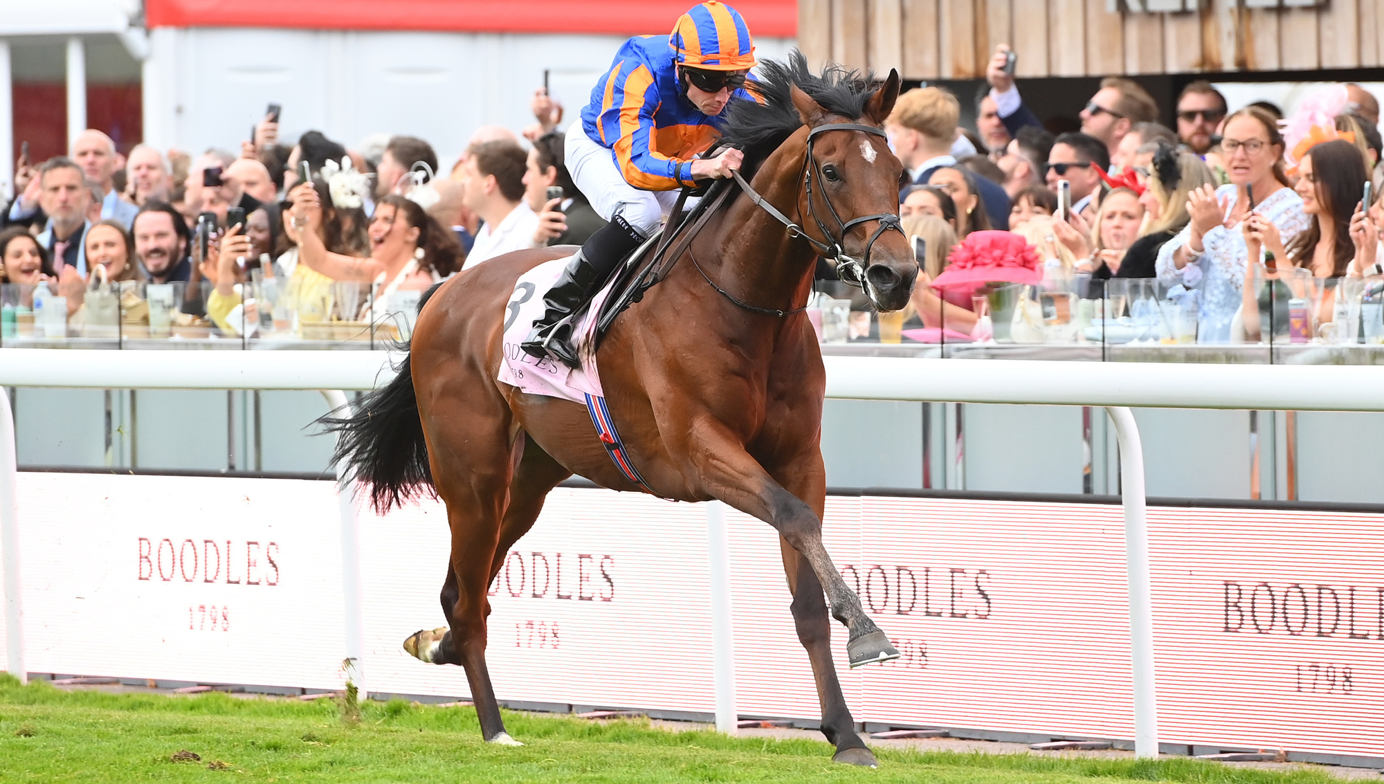Constitution River flows to French Derby success