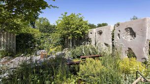 <p>Bord Bia Bloom’s landmark 20th year is underway this weekend at the Phoenix Park, Dublin.
The overall medium garden category award was presented to The ‘Future in Mind’ garden, sponsored by the Mental Health Commission and designed by Joe Eustace.</p> <p>Bord Bia Bloom’s landmark 20th year is underway this weekend at the Phoenix Park, Dublin.
The overall medium garden category award was presented to The ‘Future in Mind’ garden, sponsored by the Mental Health Commission and designed by Joe Eustace.</p>