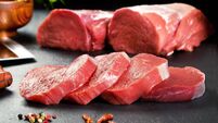 Fresh and raw meat. Sirloin medallions steaks