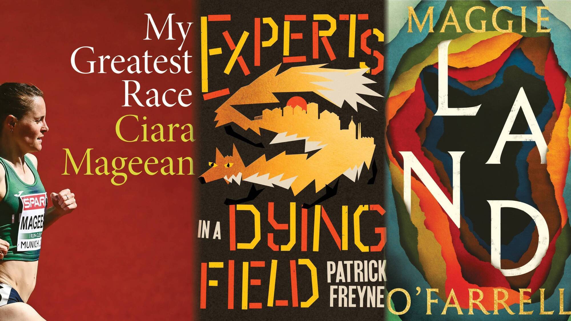 10 new books for June: Maggie O'Farrell, Patrick Freyne, Ciara Mageean...