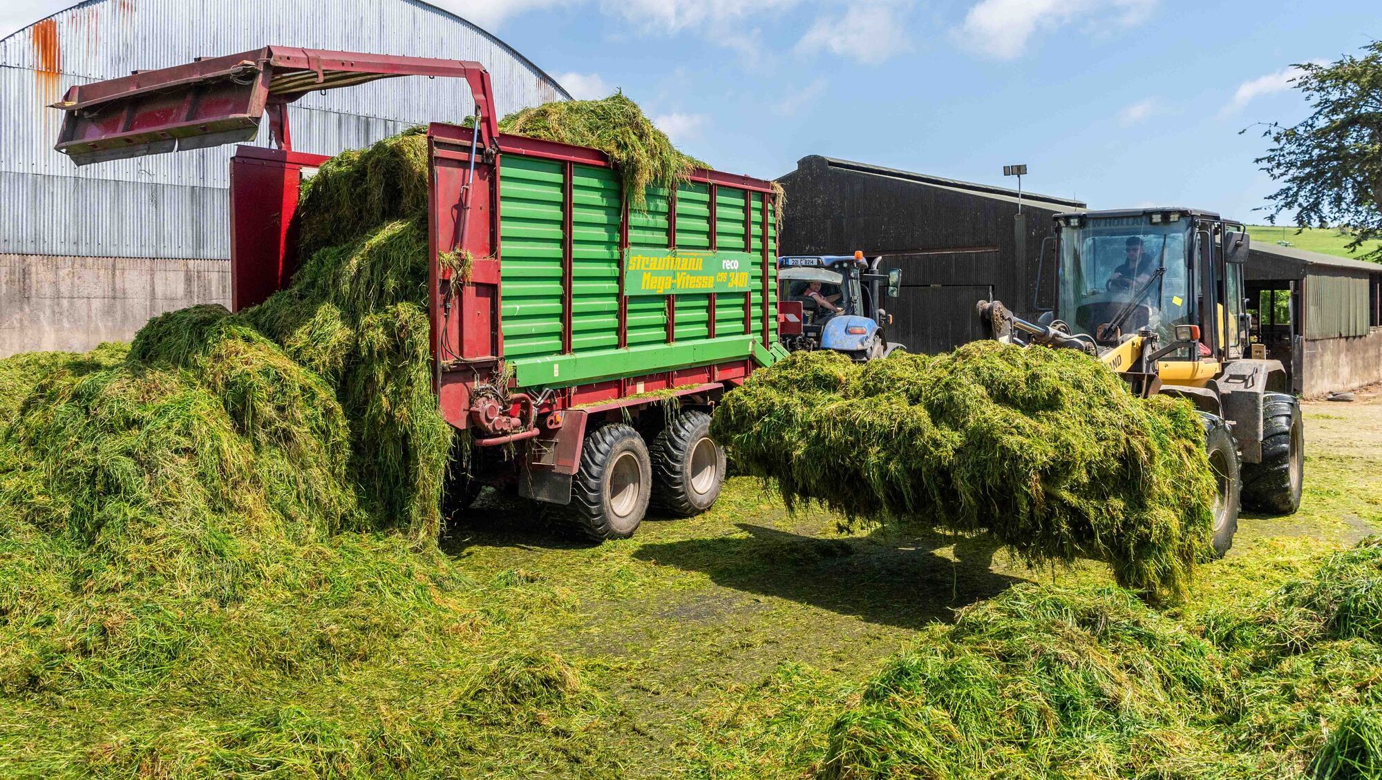 Denis Lehane: Did JK Rowling help bring in the silage?