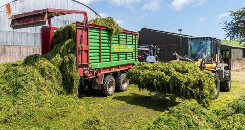 Denis Lehane: Did JK Rowling help bring in the silage?