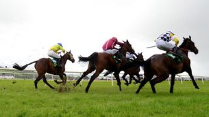 <p>Spy & Philip Byrnes (blue cap) jump the last to win the Racing TV handicap Hurdle. Pic: HEALY RACING</p> <p>Spy & Philip Byrnes (blue cap) jump the last to win the Racing TV handicap Hurdle. Pic: HEALY RACING</p>