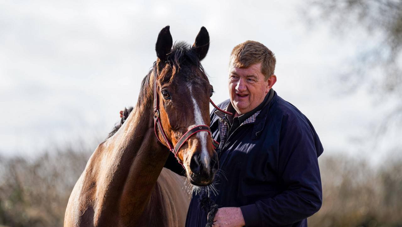 ‘Shark’ Hanlon fined following heated Listowel incident  