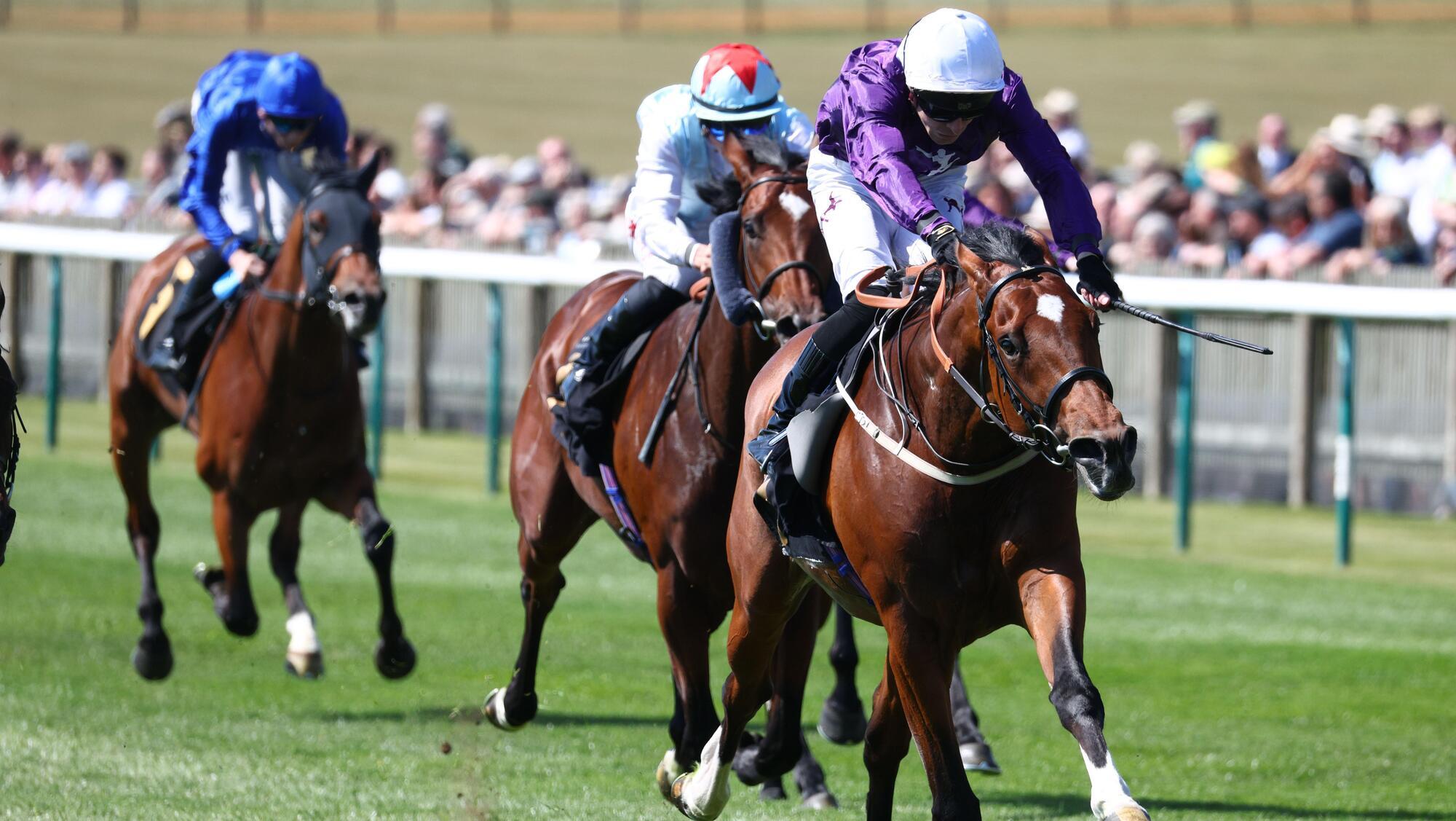 Ancient Egypt could hold key to Derby for Egan