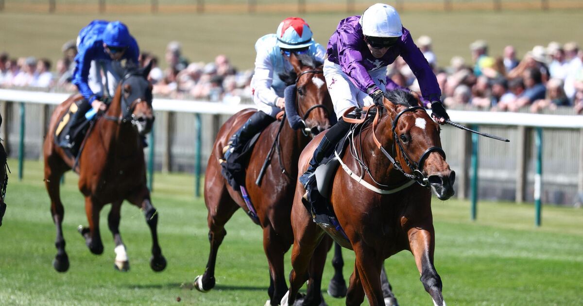Ancient Egypt could hold key to Derby for Egan