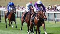 Ancient Egypt could hold key to Derby for Egan