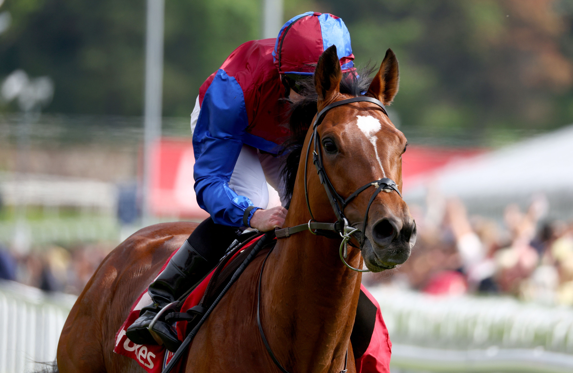 Jan Brueghel and Calandagan set for Coronation rematch at Epsom