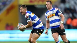<p>The Stormers defeated Cardiff in their URC quarter-final to set up a semi-final against Leinster. Pic: ©INPHO/Steve Haag Sports/EJ Langner</p>