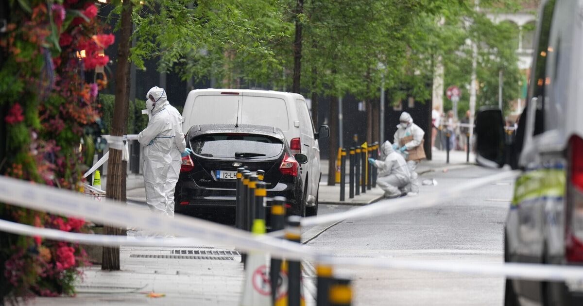 Fianna Fáil councillor says Dublin is becoming safer after city centre stabbing