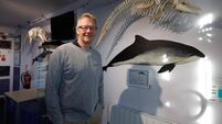 World Ocean Week: Regenerative tourism making a splash in Kerry