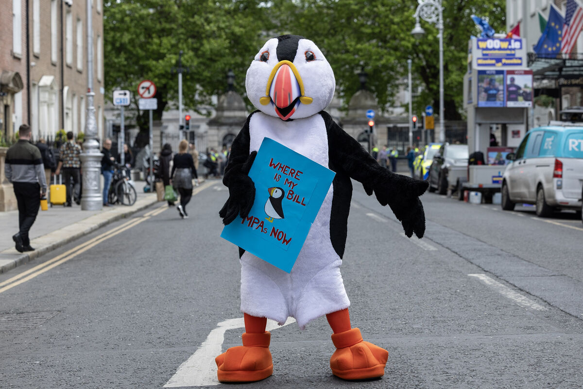 Sarah Hegarty, of Birdwatch Ireland, in a puffing costume. Sarah Hegarty, of Birdwatch Ireland, in a puffing costume.