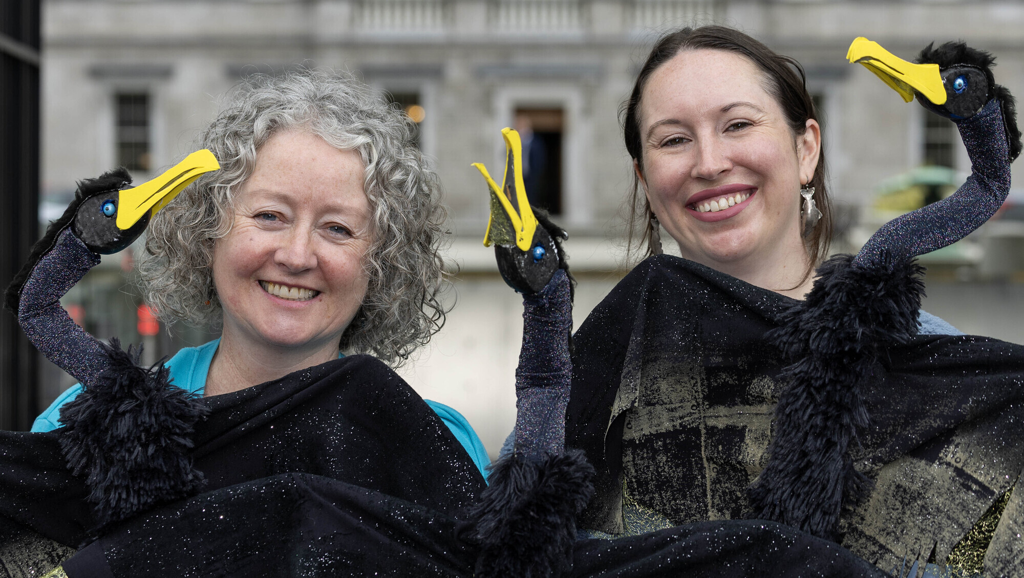 Birdwatch Ireland, flying high 50 years on