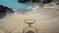 Citizen scientists taking Coastwatch from strength to strength
