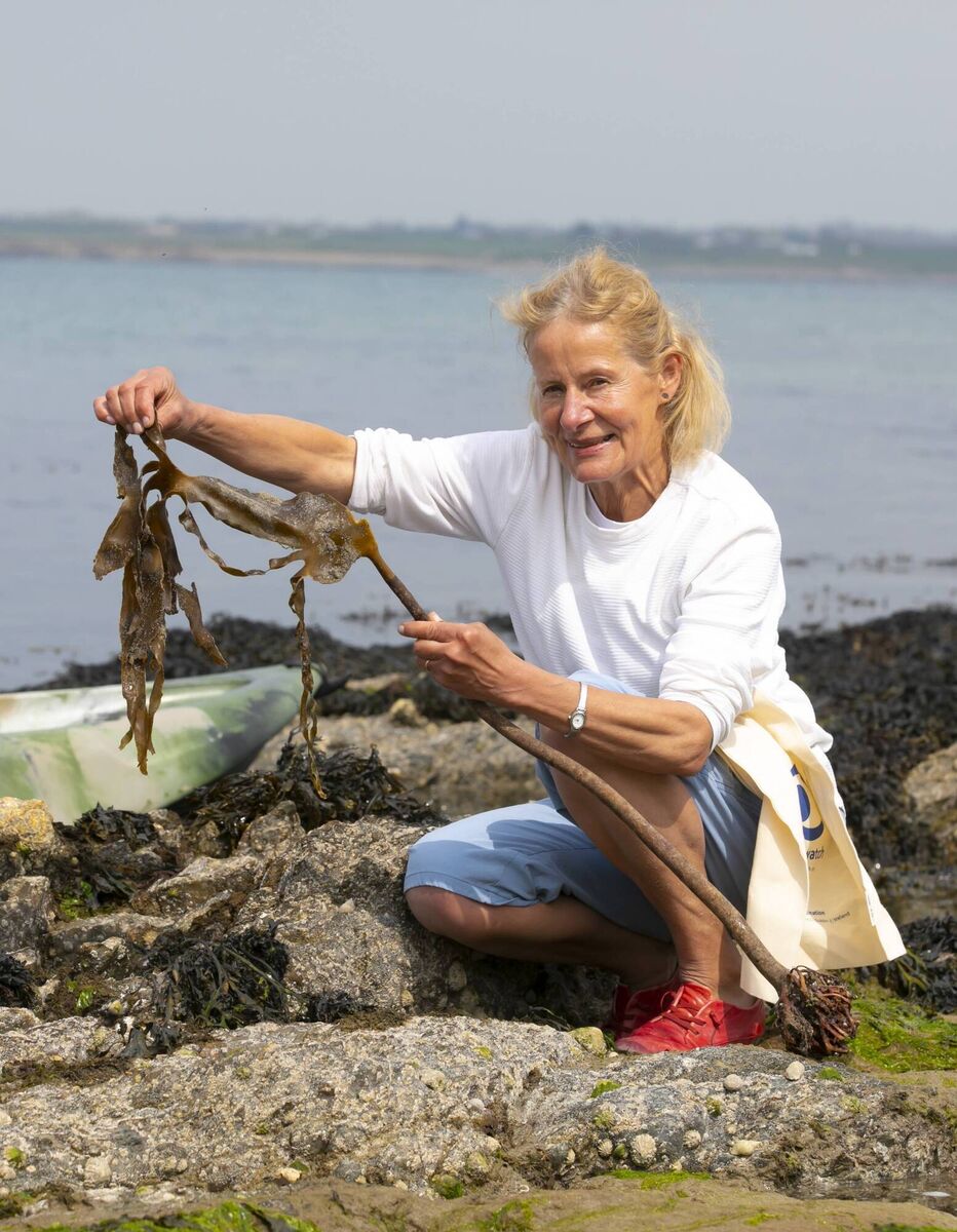 Karin Dubsky, co-founder and director of Coastwatch. Picture: Patrick Browne Karin Dubsky, co-founder and director of Coastwatch. Picture: Patrick Browne