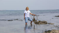 Citizen scientists taking Coastwatch from strength to strength