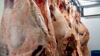 Close up shot of raw meat hanging on hooks at a slaughterhouse