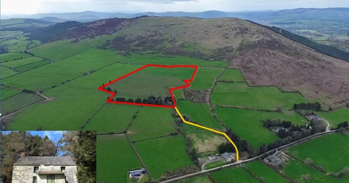 Brace of online auctions sees 30 acres of Wexford land average €21k/acre