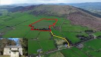 Brace of online auctions sees 30 acres of Wexford land average €21k/acre