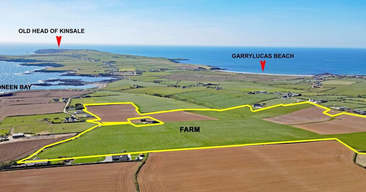 60-acre farm by Old Head guiding €20k/acre