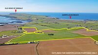 60-acre farm by Old Head guiding €20k/acre