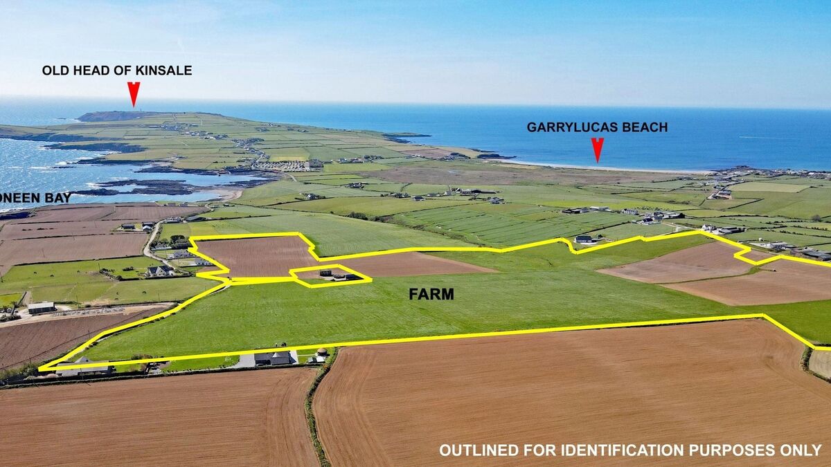 'Rare opportunity' as 60-acre farm by Kinsale's Old Head goes up for sale