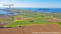 'Rare opportunity' as 60-acre farm by Kinsale's Old Head goes up for sale 