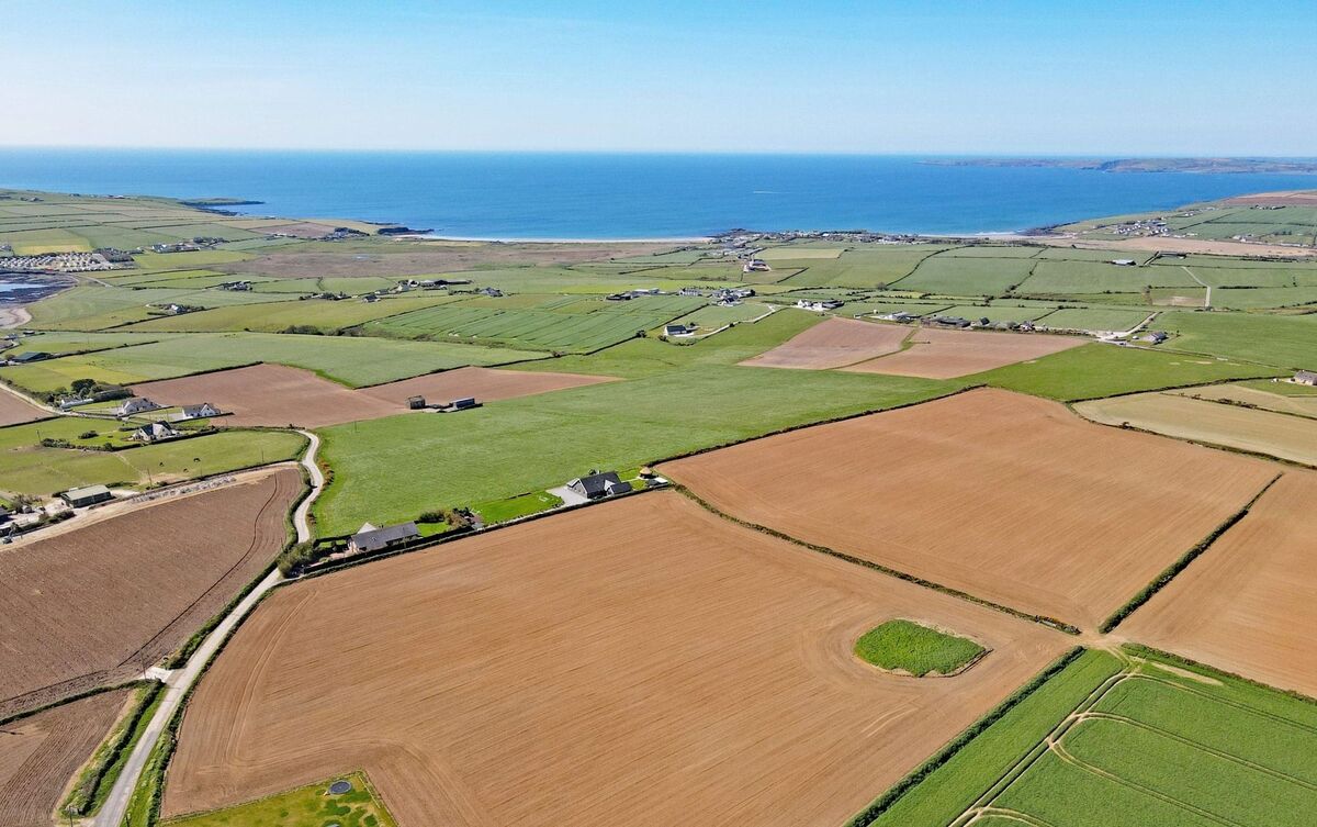 The farm at Kilcolman, is 'a mixture of tillage and grass'. The farm at Kilcolman, is 'a mixture of tillage and grass'.